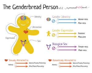 genderbread